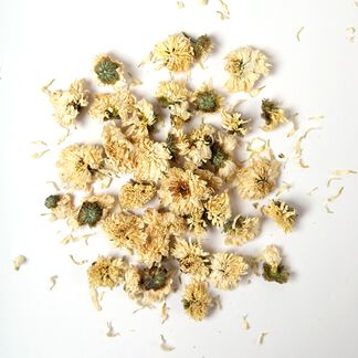 Chrysanthemum Flowers