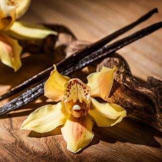 Sandalwood Vanilla Fragrance Oil