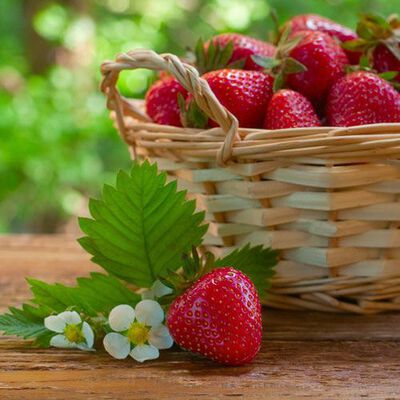 Strawberry Fragrance Oil