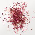 Pink Cornflower Petals - 0.2 oz