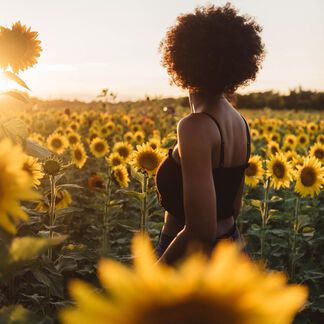 Sunflower Sandalwood Fragrance Oil