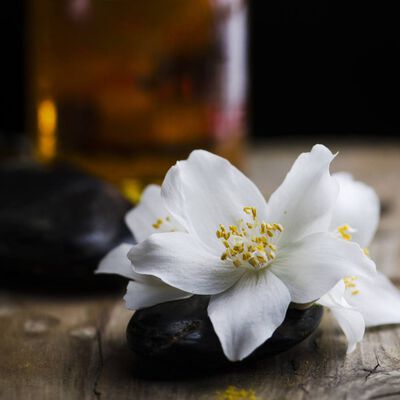 Sultry Black Jasmine Fragrance Oil