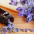 Lavender 40/42 Essential Oil - 1.75 oz