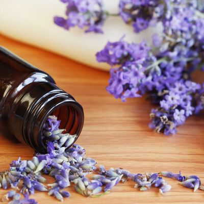 Lavender 40/42 Essential Oil