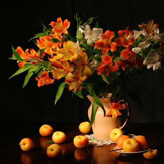 Apricot Freesia Fragrance Oil