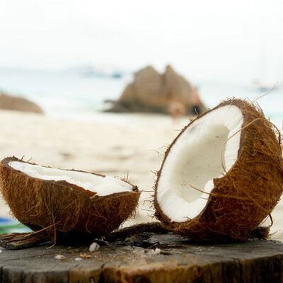 Island Coconut Fragrance Oil