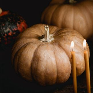 Golden Pumpkin and Cardamom Fragrance Oil