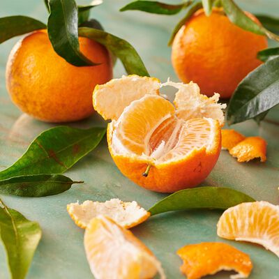 Orange Peel Fragrance Oil