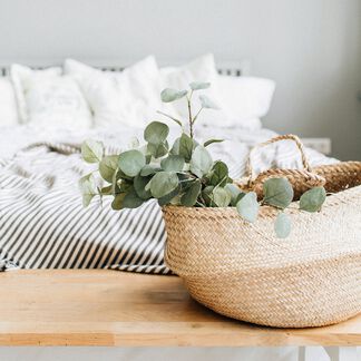 Eucalyptus and Cotton Fragrance Oil
