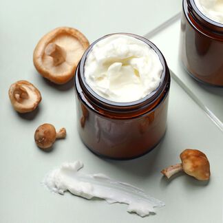 Reishi Mushroom Face Cream Project