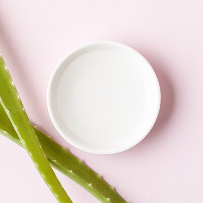 Aloe Extract