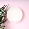 Agave Extract - 1 oz