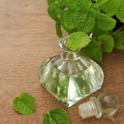 Peppermint Essential Oil - 1st Distill