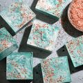 Sea Salt Swirl Soap Project