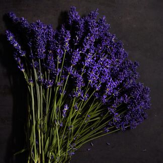 Black Amber And Lavender Fragrance Oil
