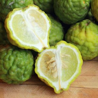 Bergamot Pure Essential Oil