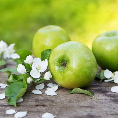 Sparkling Apple Blossom Fragrance Oil