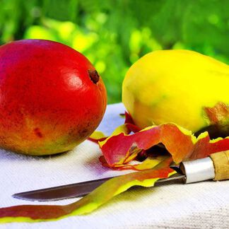 Mango Mango Fragrance Oil