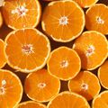 Orange 10X Essential Oil - Trial Size