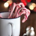 Candy Cane Fragrance Oil - Trial Size