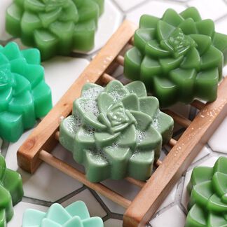 Succulent Melt and Pour Soap Kit