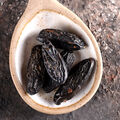 Smoked Tonka and Oud Fragrance Oil - Trial Size