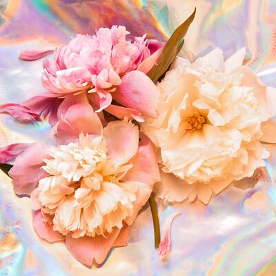 Peach Peony and Pearl Fragrance Oil