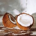 Coconut Paradise Fragrance Oil - Trial Size