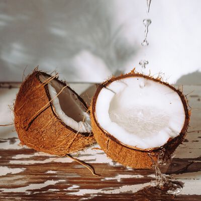 Coconut Paradise Fragrance Oil