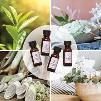 Fresh Fragrance Sampler