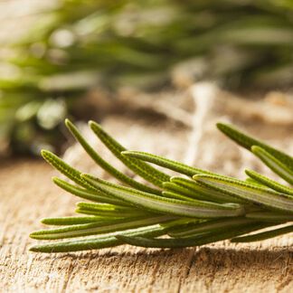 Rosemary Essential Oil