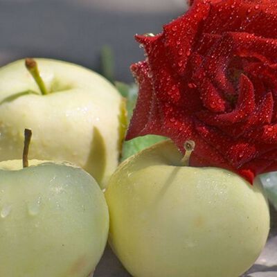Crisp Apple Rose Fragrance Oil