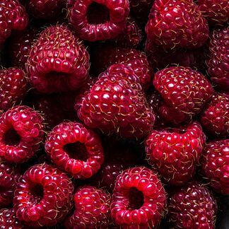 Black Raspberry Vanilla Fragrance Oil