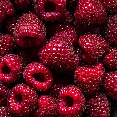 Black Raspberry Vanilla Fragrance Oil