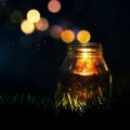 LoveSpell Type Fragrance Oil - Trial Size