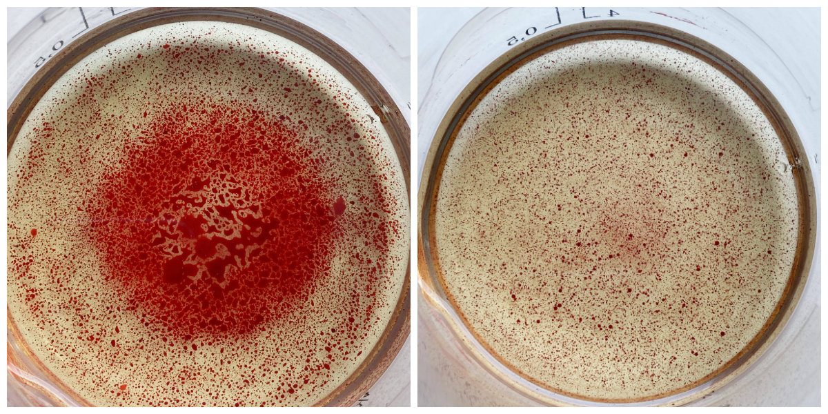 food coloring in candle wax | Bramble
                Berry