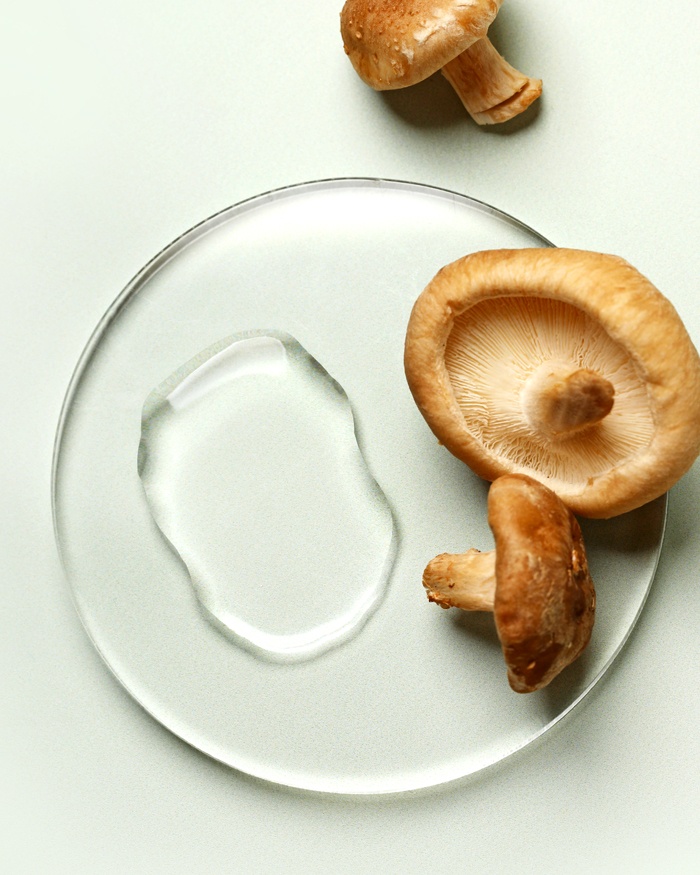 Reishi
                Mushroom for Skincare | Bramble Berry