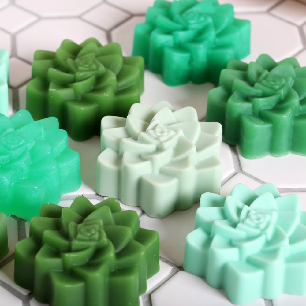 Succulent Melt and Pour Soap Kit image number null