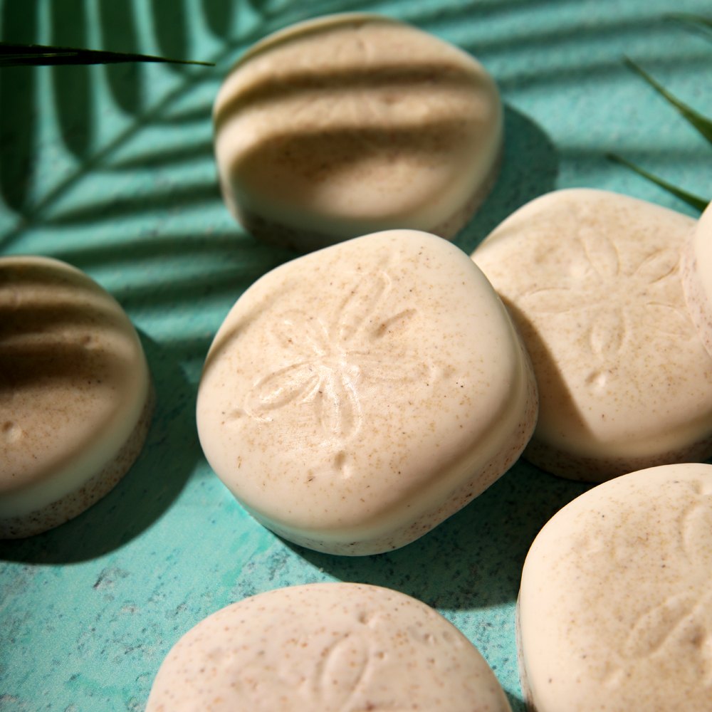 Sand Dollar Soap Project image number null