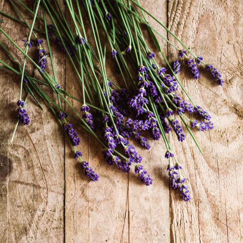 Lavender and Cedar Fragrance Oil