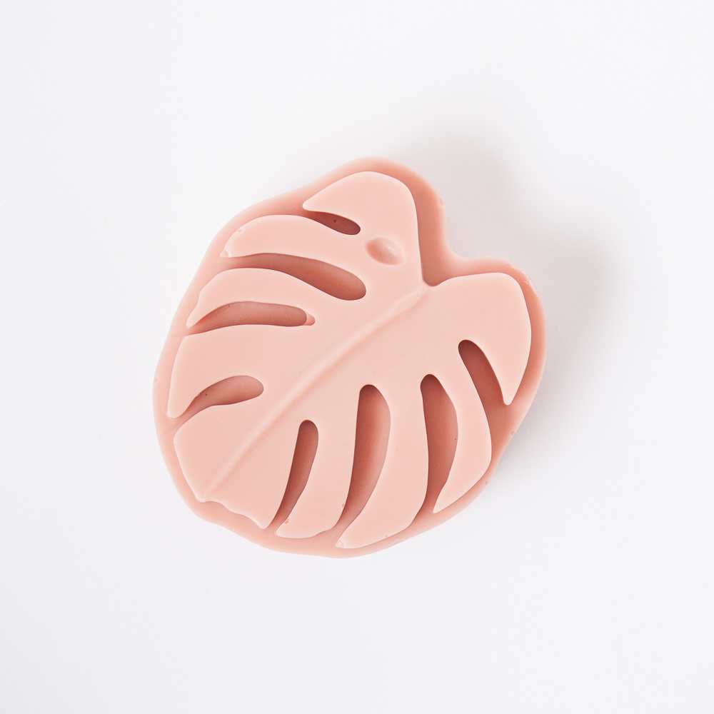 2 Cavity Silicone Monstera Mold image number null