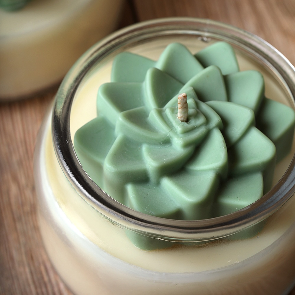 Succulent Candle Project image number null