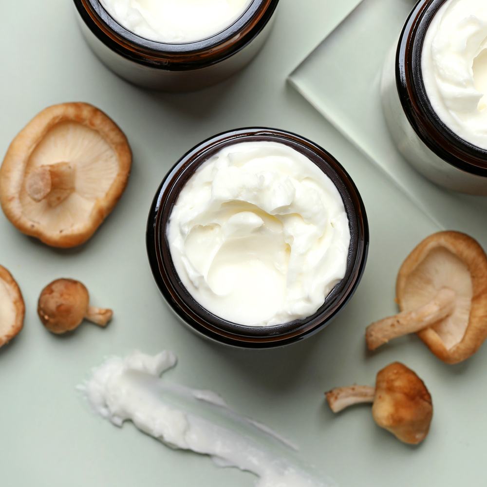 Reishi Mushroom Face Cream Project image number null