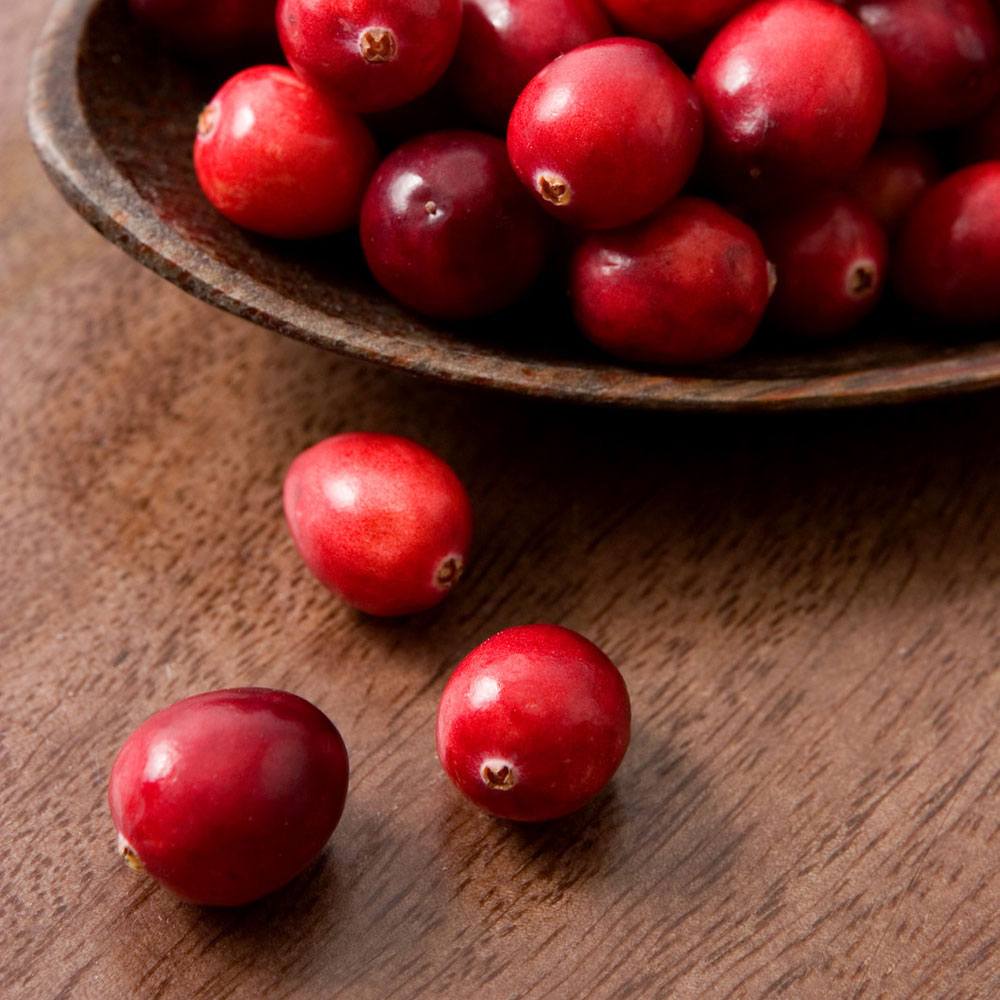 Cranberry Pomegranate Fragrance Oil image number null