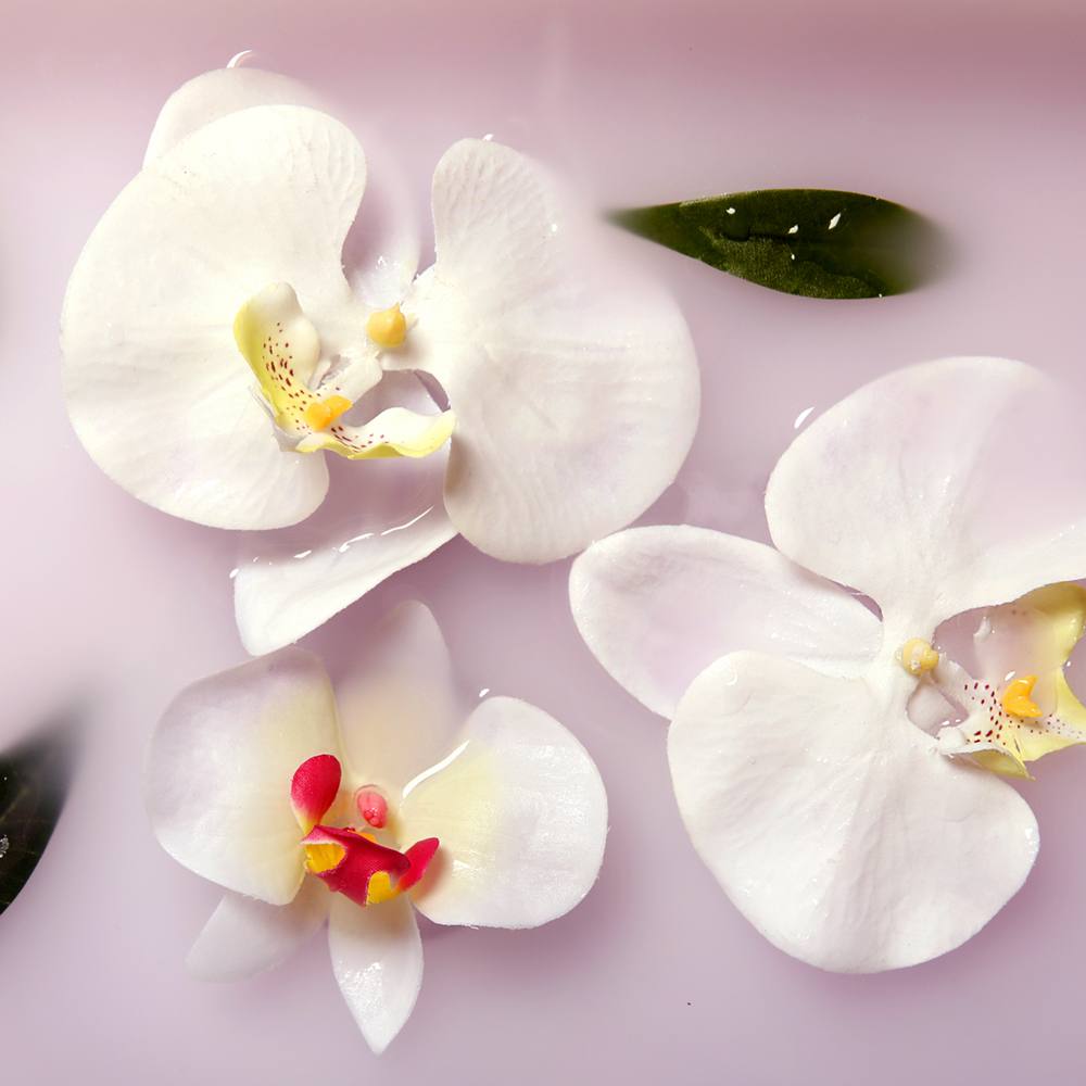 DISCONTINUED - Blushing Orchid Fragrance Oil