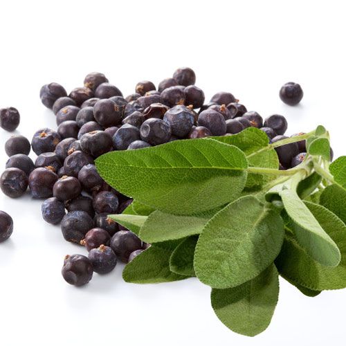 DISCONTINUED - Juniper Sage Fragrance Oil