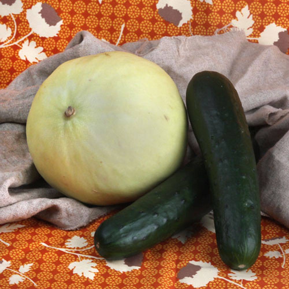 DISCONTINUED - Honeydew Melon Fragrance Oil