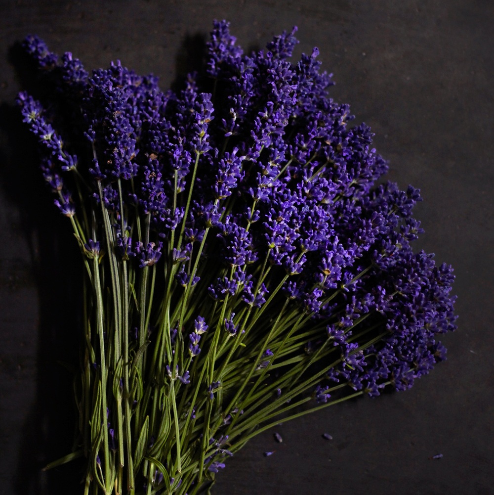 Black Amber And Lavender Fragrance Oil