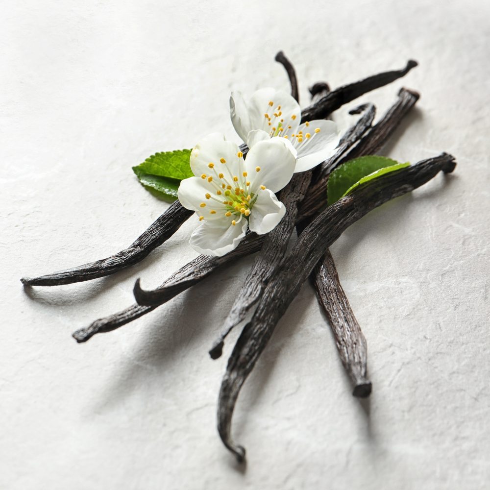 Natural Vanilla and Tonka Fragrance Oil image number null