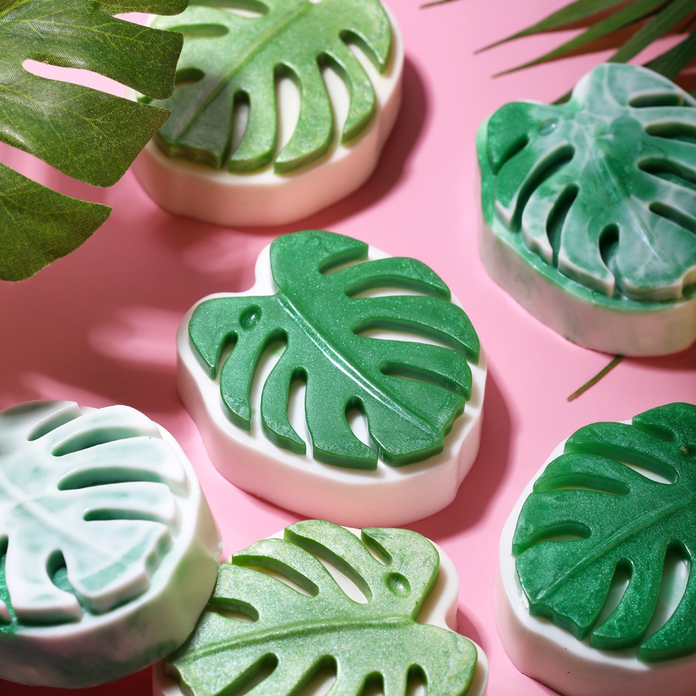 Monstera Leaf Soap Project image number null